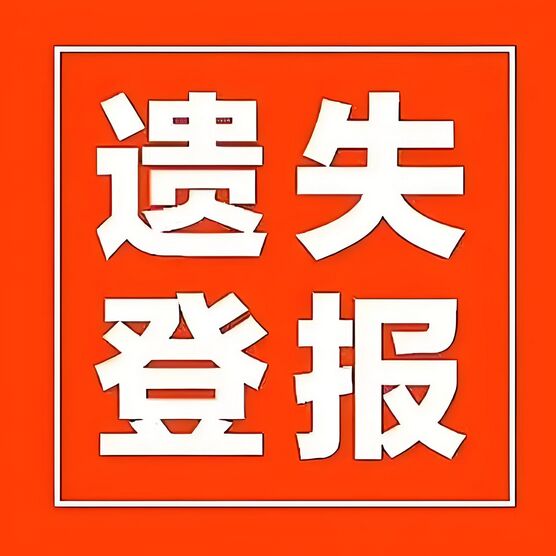 QQ图片20240813101542.jpg